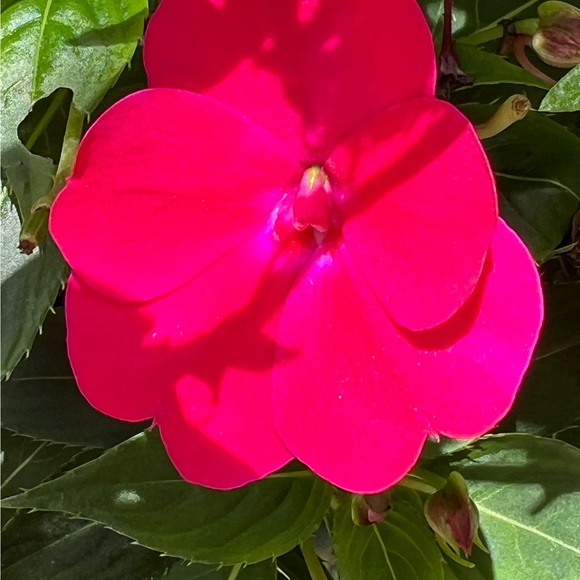 annmarieambr351